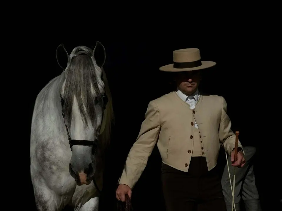 Uno de los caballos de pura raza española (Foto: ANCCE)