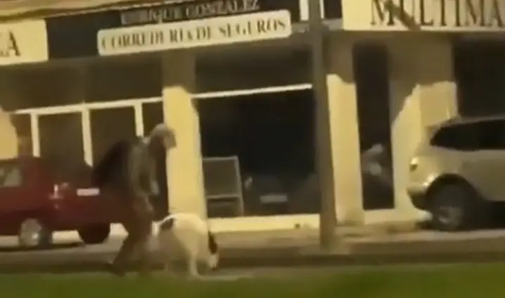 Imagen del vecino de Aguilar pegando a su perra