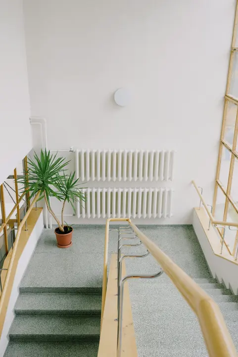 Foto de Ksenia Chernaya: https://www.pexels.com/es-es/foto/edificio-casa-planta-cacerola-5716708/