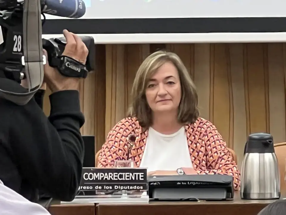 La presidenta de la AiRef, Cristina Herrero, durante su comparecencia. Fuente AiRef