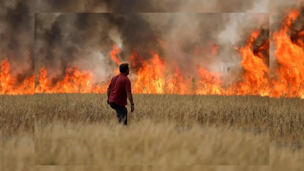 Incendio en Tábara