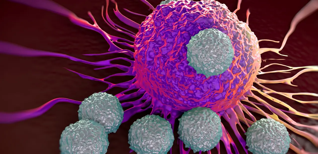 T-cells attacking cancer cell  illustration of  microscopic photosT-cells attacking cancer cell  illustration of  microscopic photos