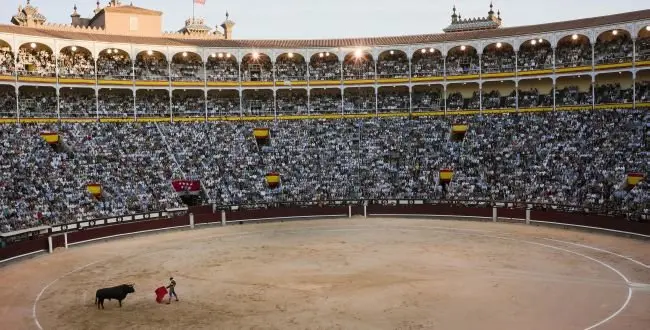 Mexican-born bullfighter Joselito Adame baits a bull during a corrida at Madrid's Las Ventas arena, Friday, May 16, 2014, as part of the celebration for Madrid's patron saint San Isidro. (AP Photo/Domenico Stinellis)