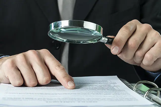 Fraud, audit, auditor.