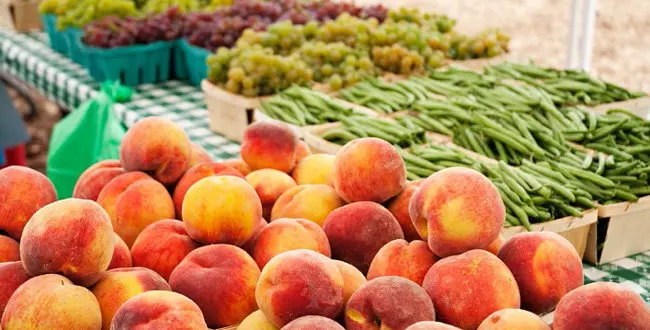 Fresh Peaches at a Farmer's Market 
Abarrotes Abiertos Al aire libre Alimentacion Alimentacin Alimento Alimentos Alubia Alubias Arrangement Arreglo Blurry Bodegon Bodegon de alimentos Bodegon de comestibles Bodegones Bodegones de alimentos Bodegones de comestibles Bodegn Bodegn de alimentos Bodegn de comestibles Borrosa Borrosas Borrosidad Borroso Borrosos Coleccion de alimentos Coleccin de alimentos Comestible Comestibles Comida Cruda Crudas Crudo Crudos Descubiertos Desenfocado Durazno En exterior Foco Foodcollection Fresca Frescas Fresco Frescos Frijoles Fruta Fruta con hueso Frutas Fruto Fuera Haba Habas Hortalizas Imprecisas Impreciso Imprecisos Ingrediente Ingredientes Judia Judias Juda Judas Legumbre Legumbre seca Legumbres Legumbres secas Leguminosa Leguminosae Libres Melocoton Melocotones Melocotn Mercadillo semanal Mercadillos semanales Mercado Mercado semanal Mercados Mercados semanales Naturaleza muerta Naturaleza muerta de alimentos Naturaleza muerta de comestibles Naturalezas muertas de alimentos Naturalezas muertas de comestibles Nuevo Nuevos Outdoor Poco claras Poco claro Poco claros Poco nitidas Poco nitido Poco nitidos Poco ntidas Poco ntido Poco ntidos Poroto Porotos Producto alimenticio Puesto Puesto de mercado Puesto de venta Puestos de mercado Puestos de venta Recien Recin Royalty Free Seleccion Seleccin Sin cocer Surtido Tienda de mercado Tiendas de mercado Toma exterior Tomas exteriores Uva Uvas Variedad Venta Ventas Verduras Vitis Vitis vinifera
