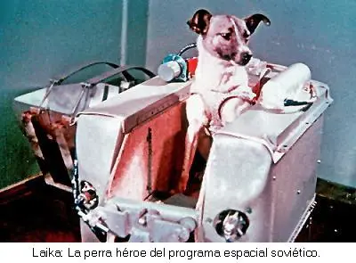<h2>1957</h2>
<strong>The Space Race </strong>
Laika, the dog traveling aboard Russia's Sputnik 2, becomes the first mammal in space, raising the bar in the Space Race, which sparked billions of dollars in aerospace research spending.