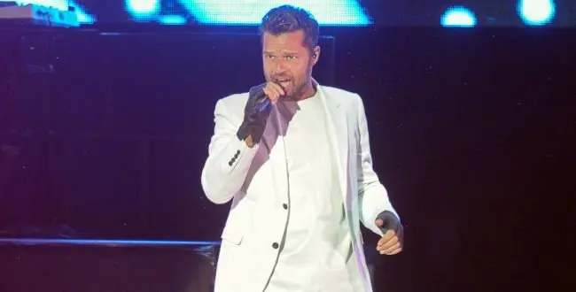 Singer Ricky Martin during a concert in Marbella
Friday 25 July 2014
Marbella