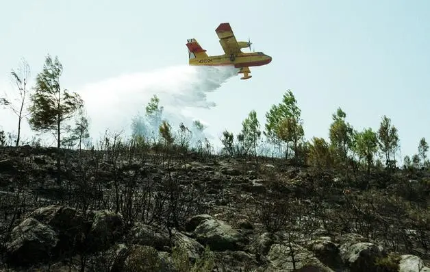 ENGUERA (VALENCIA) /// Cerca de 1.600 hectares se han quemado en el incendio forestal que desde ayer arrasa los montes de Enguera y Ayora (valencia).En la imagen, un hidroavion suelta agua esta mañana en prevision de un rebrote tras controlar a primeras horas de hoy el fuego.EFE/J.C.CARDENAS.