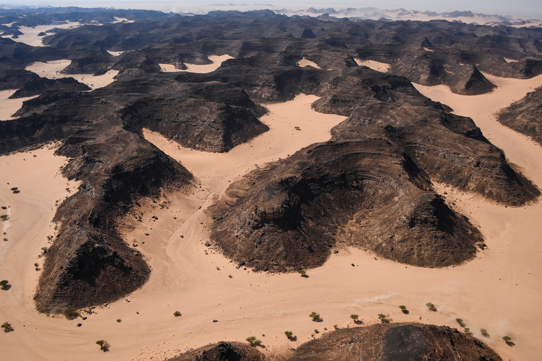 Arabia Saudí | Fuente: ASO