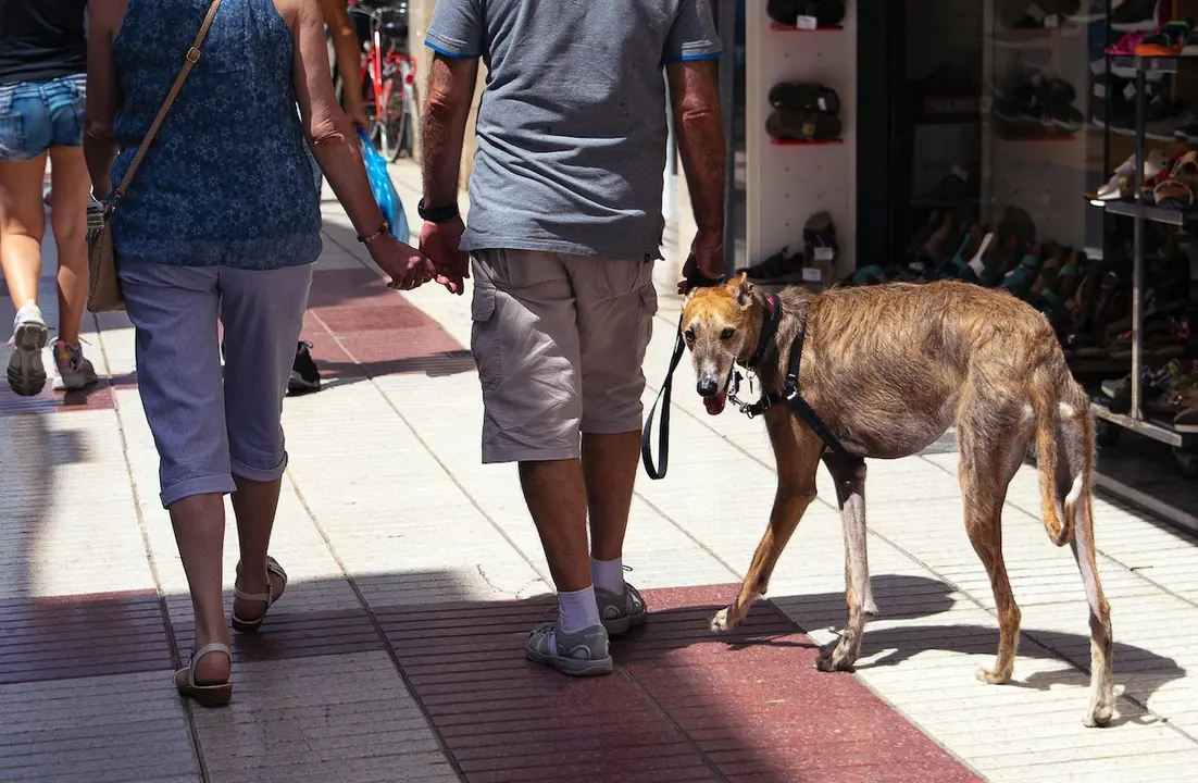 Foto de Antonio Lorenzana Bermejo: https://www.pexels.com/es-es/foto/ciudad-hombre-gente-mujer-14283405/