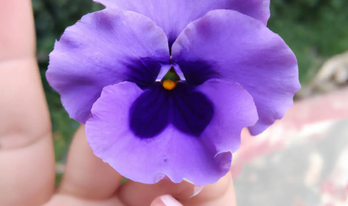 La relación entre el violeta y la lucha de las mujeres