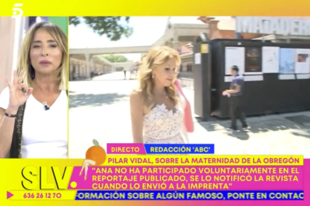 La colaboradora ha revelado los tres legados que Aless Lequio pidió a Ana Obregón antes de morir - Telecinco (Mediaset)