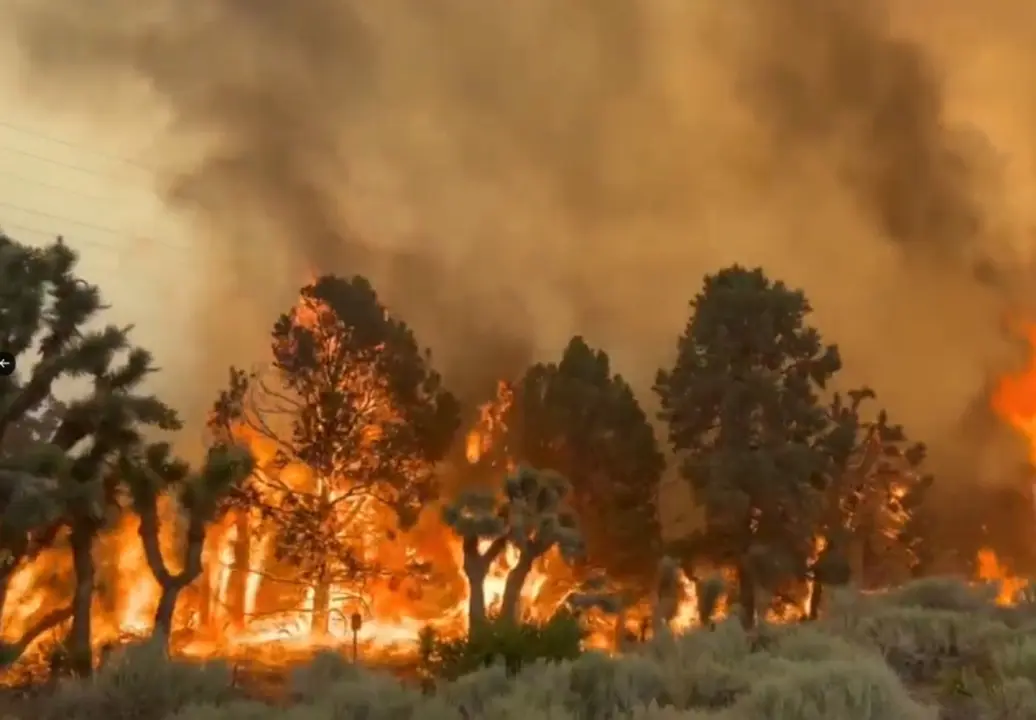 Incendios en Hawái / Redes Sociales