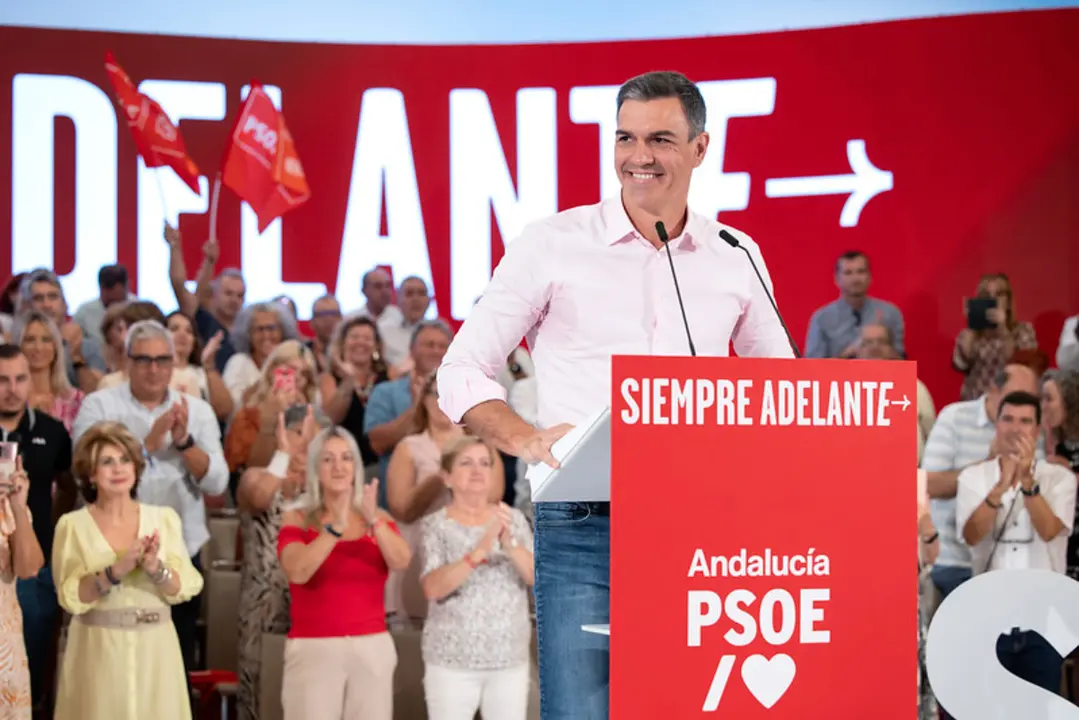 Pedro Sánchez / PSOE