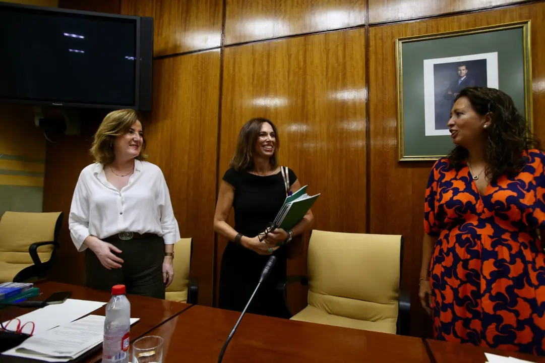Foto: PP Andalucía