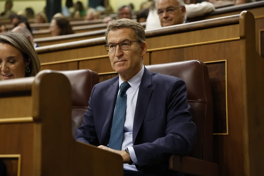 Alberto Núñez Feijóo / Twitter Congreso