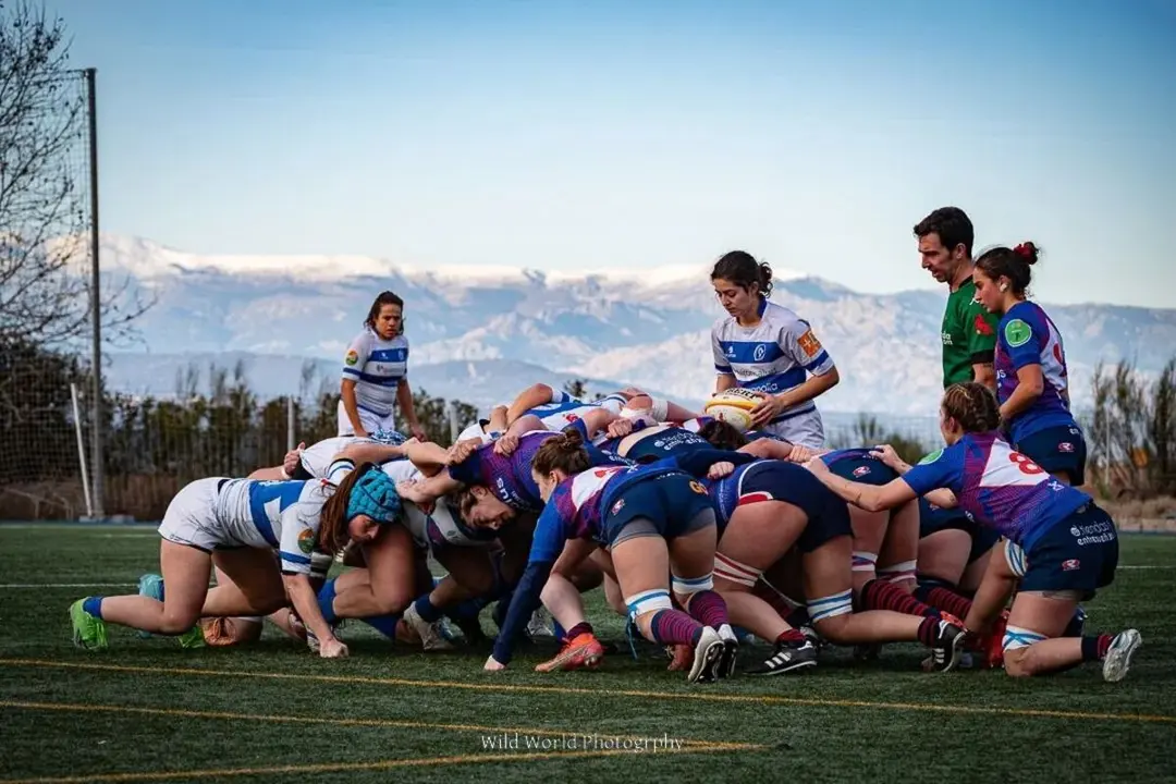Olímpico de Pozuelo | Fuente: wild_world_photogrphy -Olímpico de Pozuelo vía Instagram