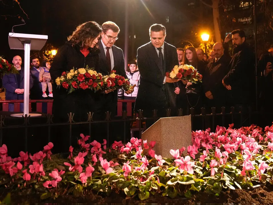 Alberto Núñez Feijóo / X