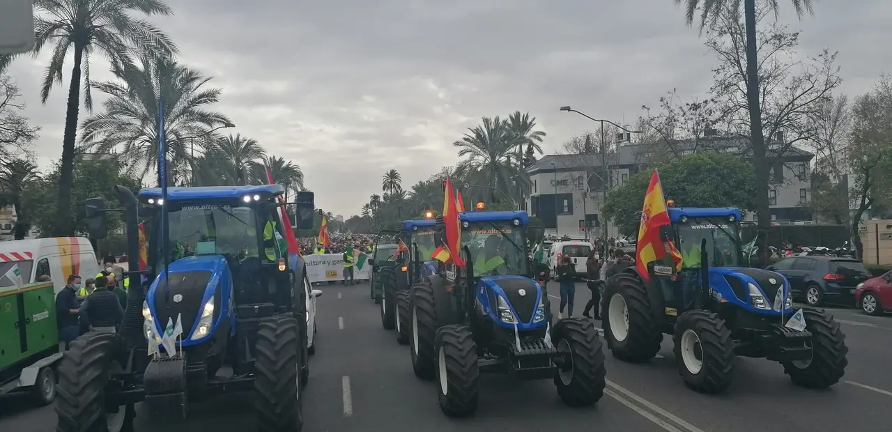 Imagen / Cooperativas Agro-alimentarias de Andalucía