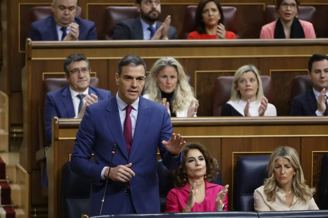Pedro Sánchez / Congreso de los Diputados