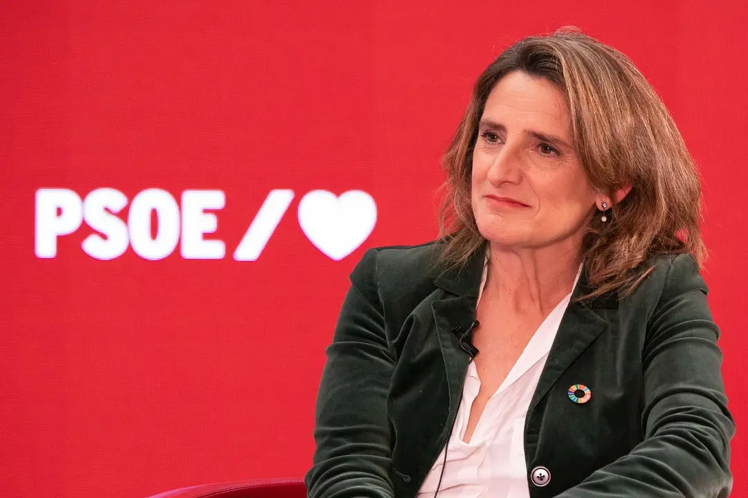 Teresa Ribera | Fuente: PSOE