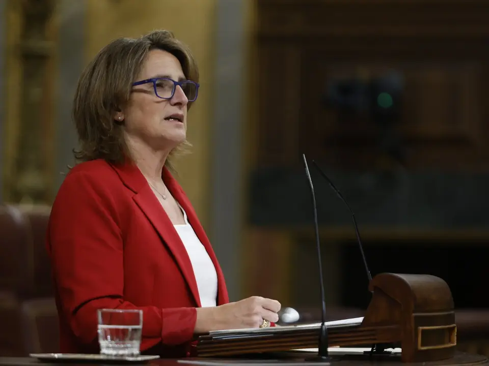 Vicepresidenta Tercera y ministra para la Transición Ecológica y Reto Demográfico, Teresa Ribera