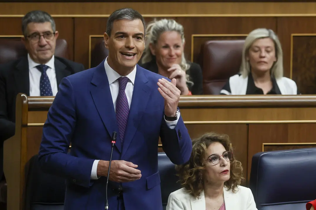 Pedro Sánchez en la sesión de control al Gobierno | Fuente: Moncloa