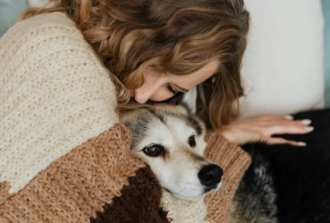 Mujer abrazando a su perro | Fuente: Pexels