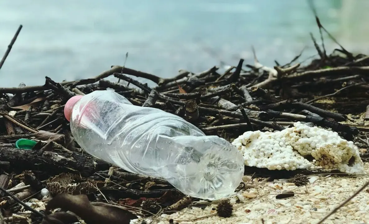 Contaminación por plásticos | Fuente: Pexels
