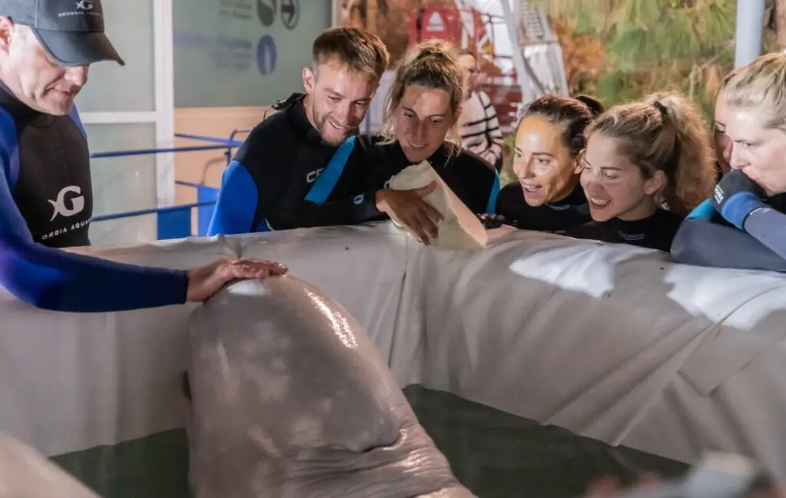 Cuidadores acompañando a la beluga | Fuente: Oceanogràfic Valencia