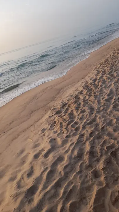 La playa limpia del vertido. Fuente: Ayuntamiento de Valencia