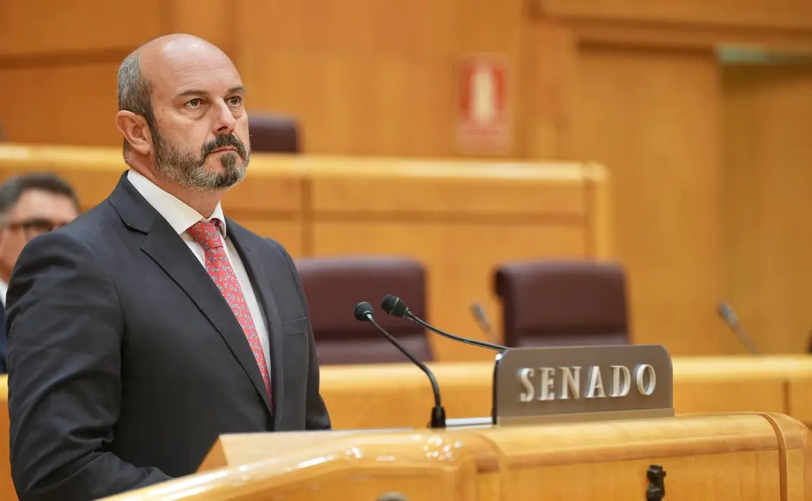 Pedro Rollán / Partido Popular