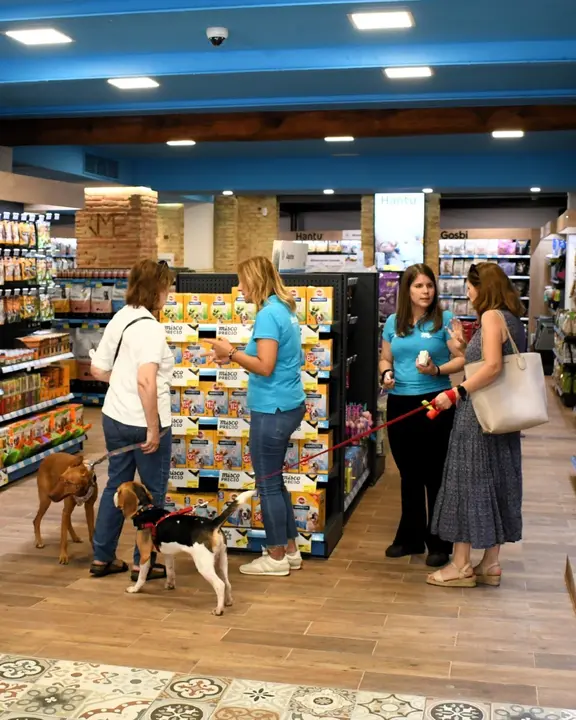 Miscota: un hogar para los "pet parents"