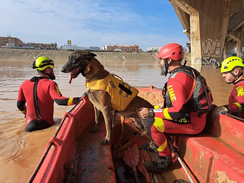 Imagen: Unidad Militar de Emergencias (UME)