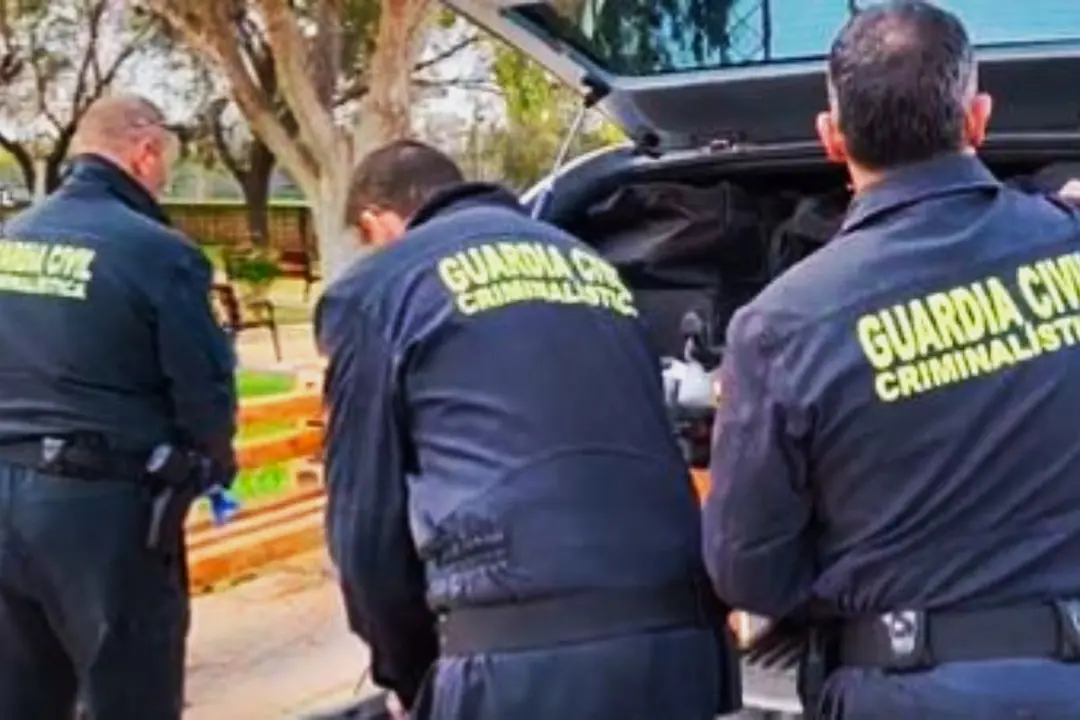 La investigación la está llevando a cabo el Servicio de Criminalística de la Guardia Civil, encargado de prestar los servicios propios de la ciencia forense.