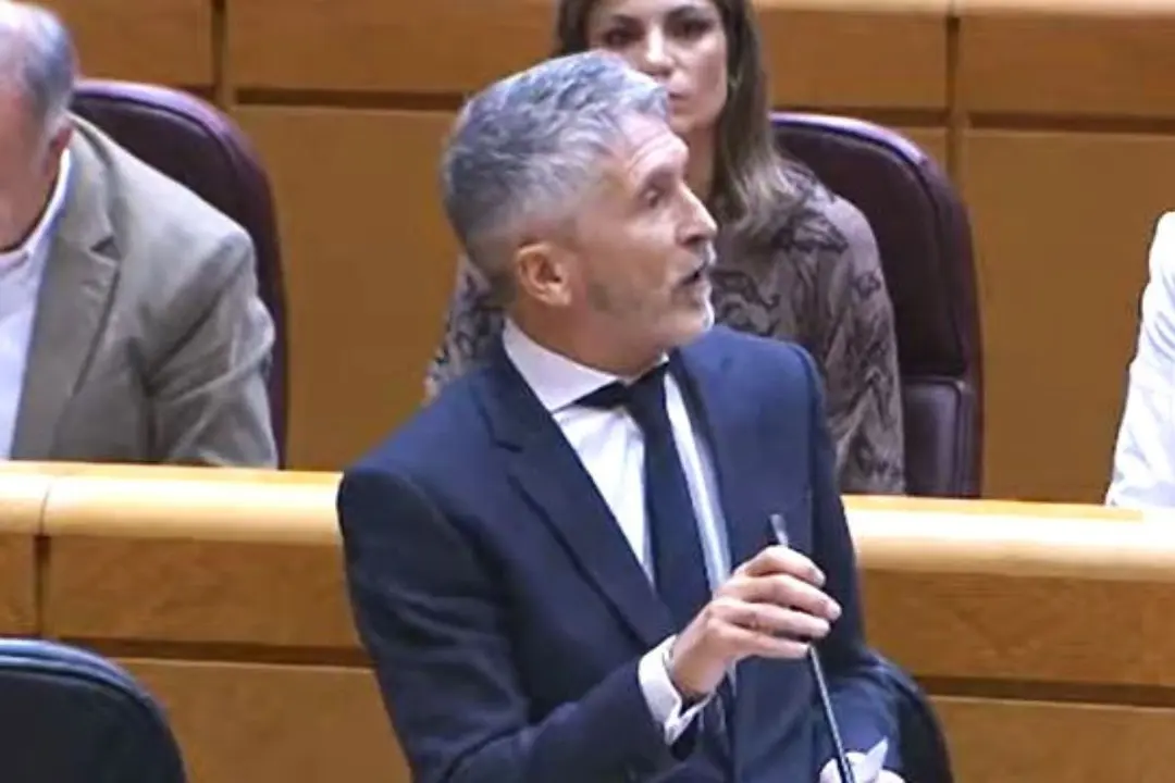 El ministro Marlaska durante la sesión de control al Gobierno de este martes 3 de diciembre en el Senado.