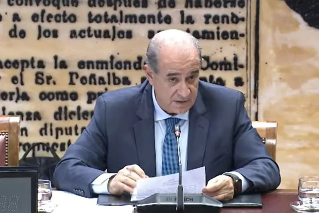 Francisco Pardo, director general de la Policía, durante su comparecencia en el Senado.