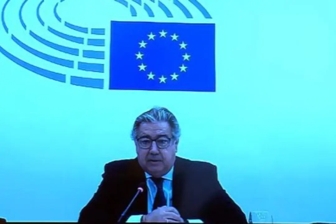 Zoido aseguró que no le habían llegado las preguntas de Junts traducidas al castellano.