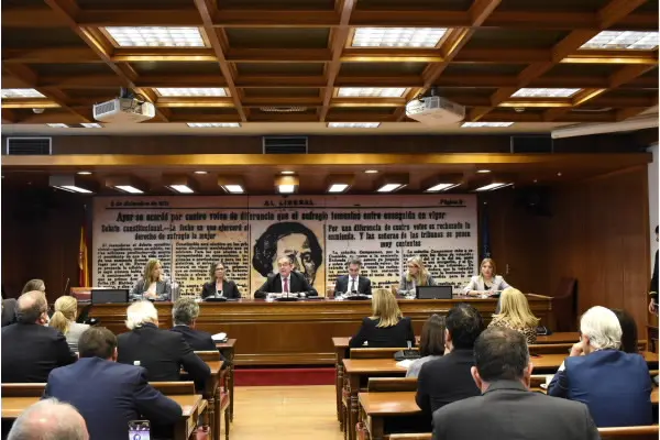 Constitución de la Comisión. Imagen: Senado