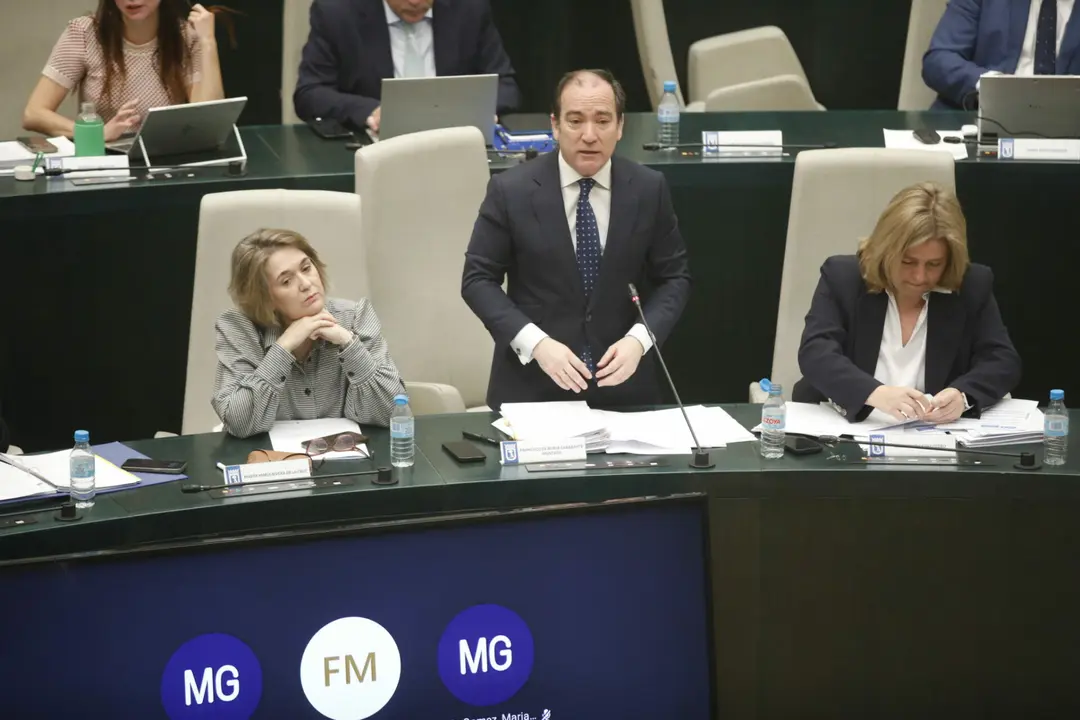 Borja Carabante durante la sesión del Pleno / Ayuntamiento de Madrid