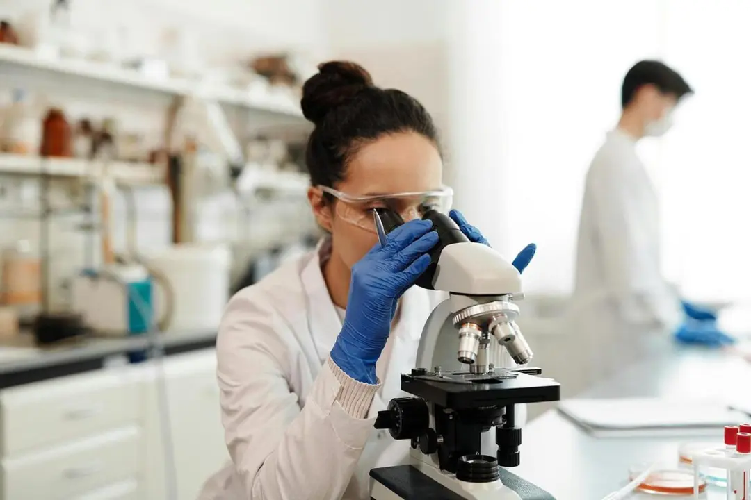 Ministerio de Ciencia, Innovación y Universidades