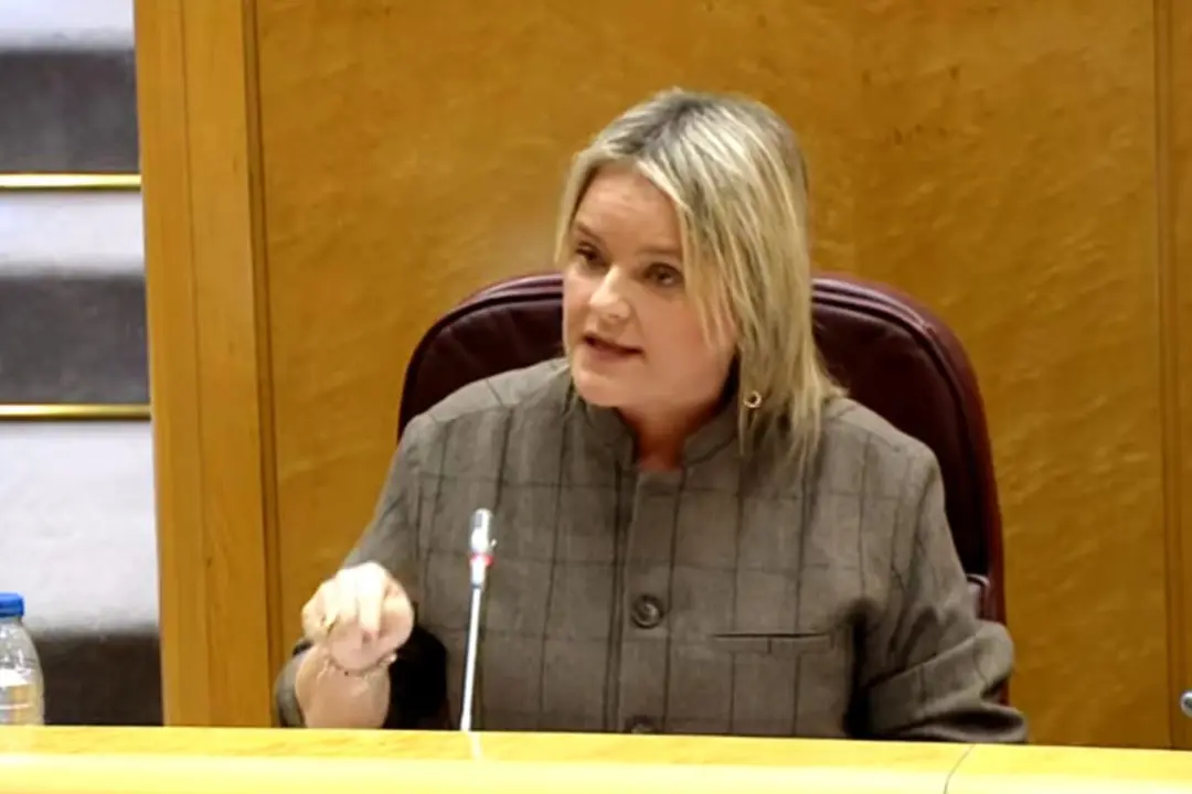 Mari Mar Blanco ha cargado duramente contra Mercedes González en la Comisión de Interior del Senado.