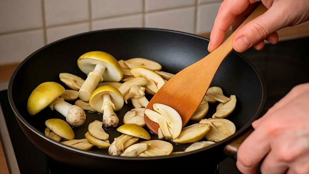 Cocinando setas