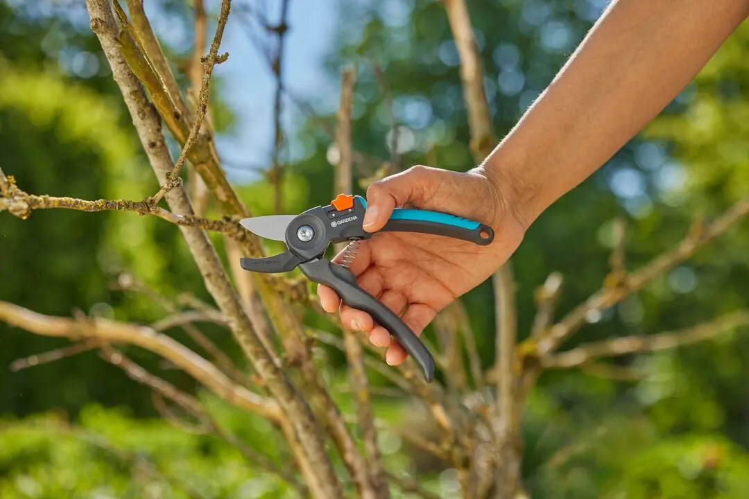 La tijera de Jardín PremiumCut para ramas secas de GARDENA