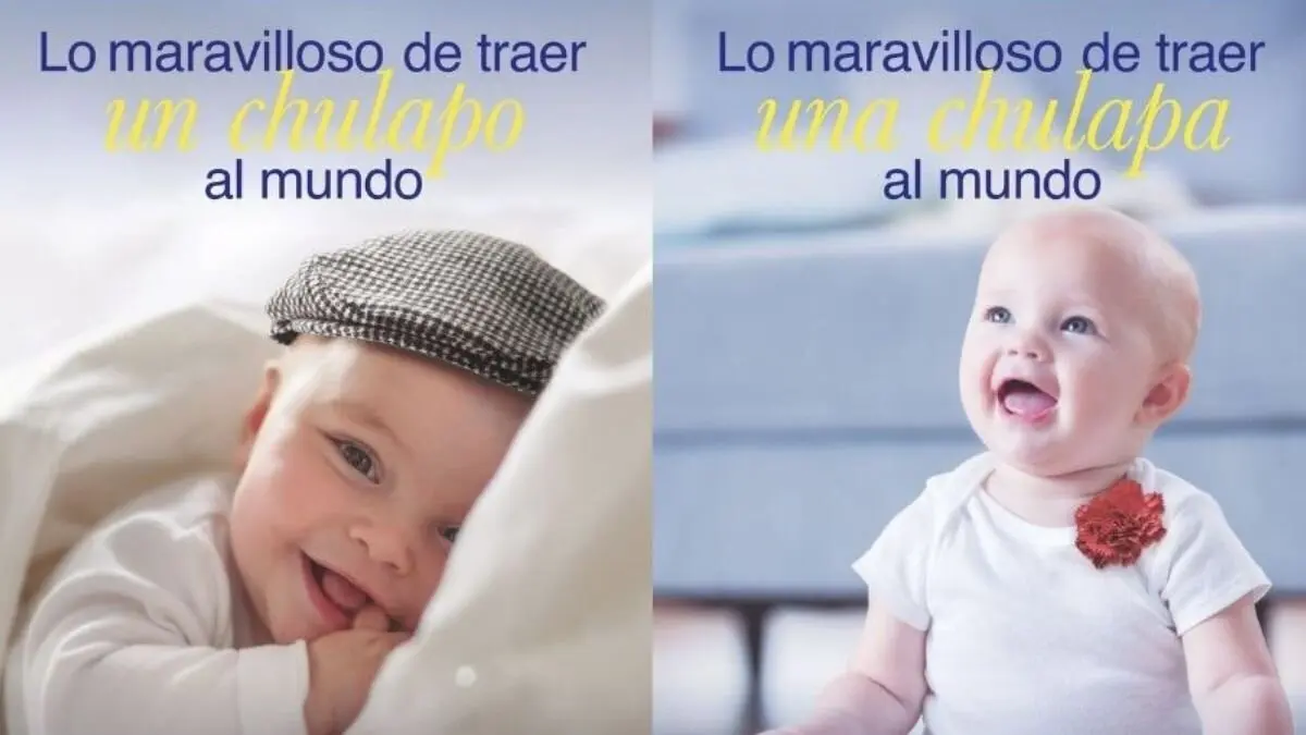 El Ayuntamiento ha avanzado que próximamente se detallará el procedimiento para solicitar estas ayudas