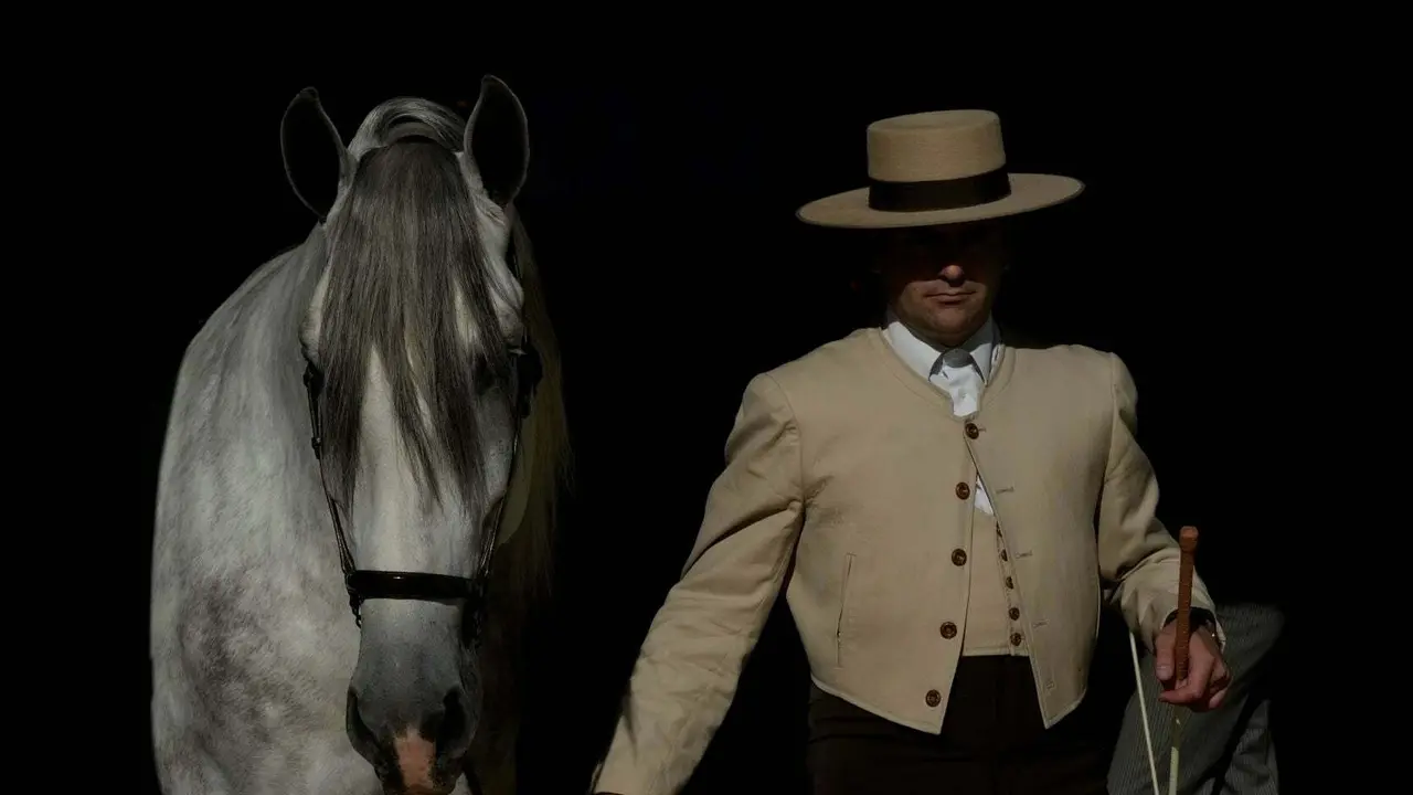 Uno de los caballos de pura raza española (Foto:  ANCCE)