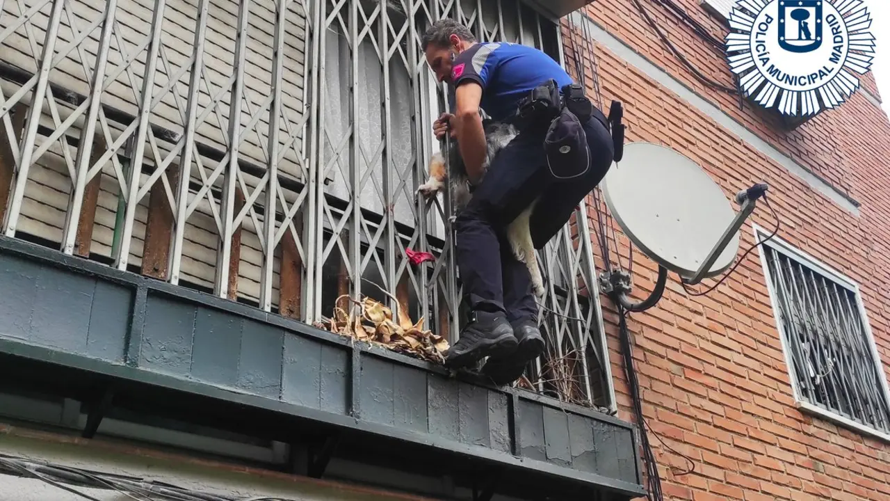 Policía Municipal de Madrid