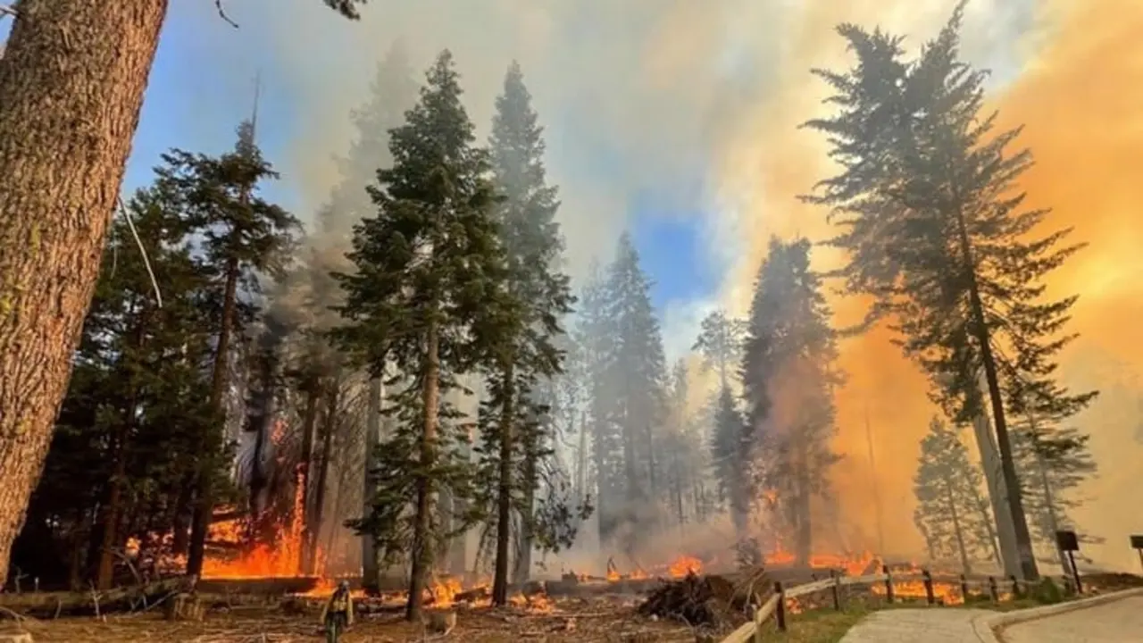 imagen incendio AP NEWS 
