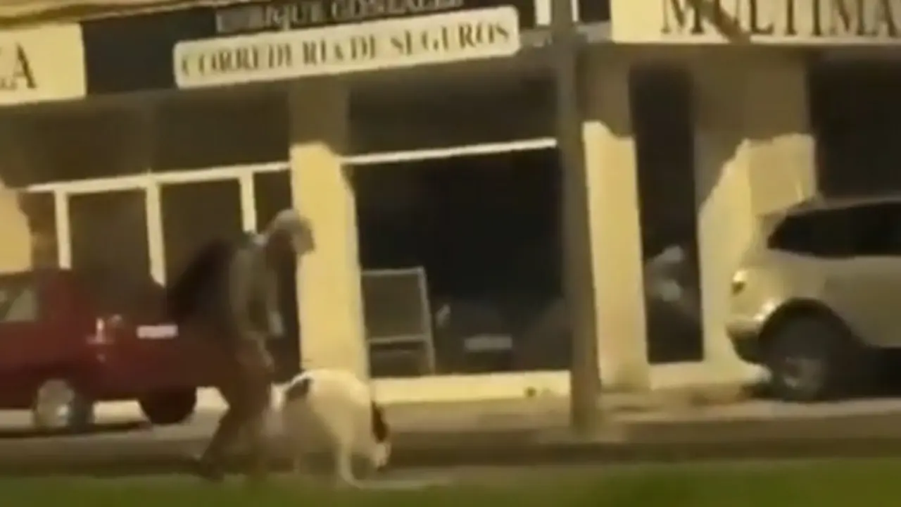 Imagen del vecino de Aguilar pegando a su perra