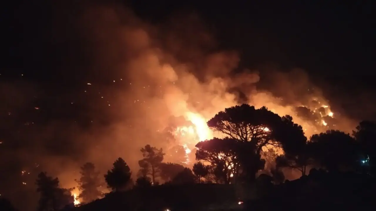 Imagen del incendio en Losacio